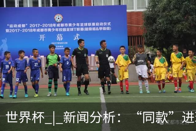 世界杯 | 新闻分析：“同款”进球，为何判罚结果截然不同
