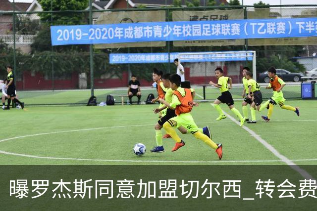 曝罗杰斯同意加盟切尔西 转会费1.17亿镑合同期6+1年