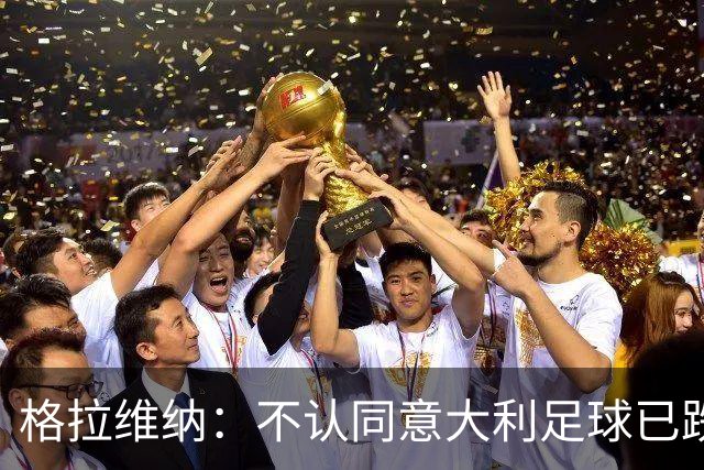 格拉维纳：不认同意大利足球已跌至最低点 对未晋级世界杯失望