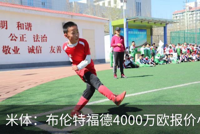 米体：布伦特福德4000万欧报价小斯坦科维奇，国米拒绝