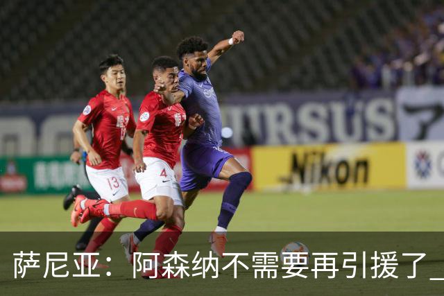 萨尼亚：阿森纳不需要再引援了 赛季最佳球员我选廷伯
